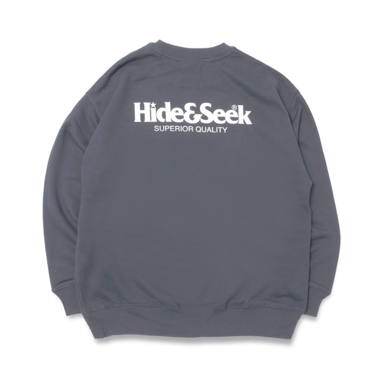 HIDE AND SEEK / Logo Sweat Shirt(23aw)