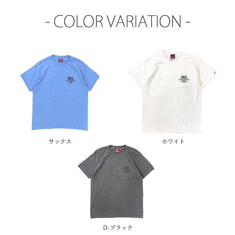 HIDE AND SEEK ハイドアンドシーク / Californication S/S Tee (24ss) カリフォルニケーション Tシャツ / D-ブラック