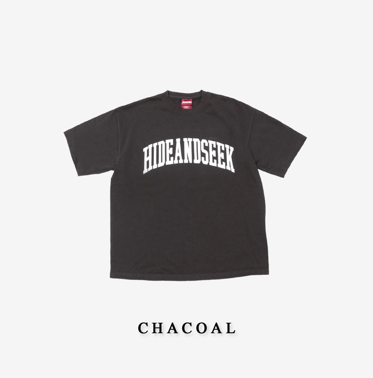 HIDE AND SEEK /College Heavy OZ S/S Tee(23aw)